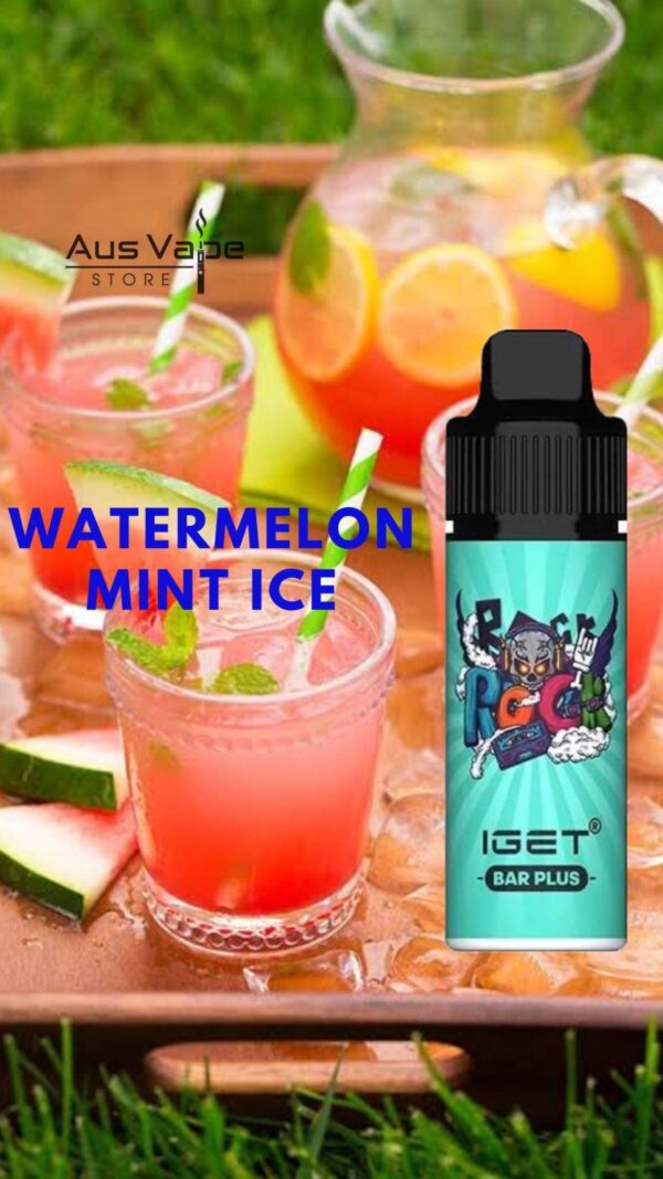 IGET BAR PLUS – WATERMELON MINT ICE – 6000 PUFFS