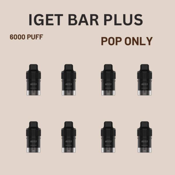 BULK 10 PCS – IGET BAR PLUS POD ONLY – 6000 PUFFS