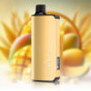 ALIBARBAR INGOT 9000 Puffs Mango Magic