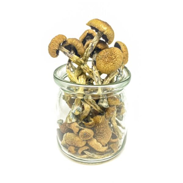 Penis envy mushrooms 1/2 oz